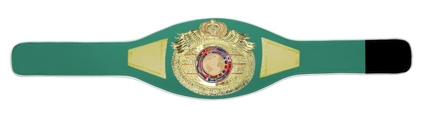 *NEW* PROICON CHAMPIONSHIP BELT/G/WHTGEM - AVAILABLE IN 6+ COLOURS